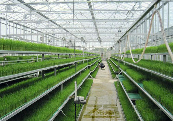 如何提高智能溫室大棚的利用率